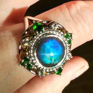 Unique Canadian Ammonite ring